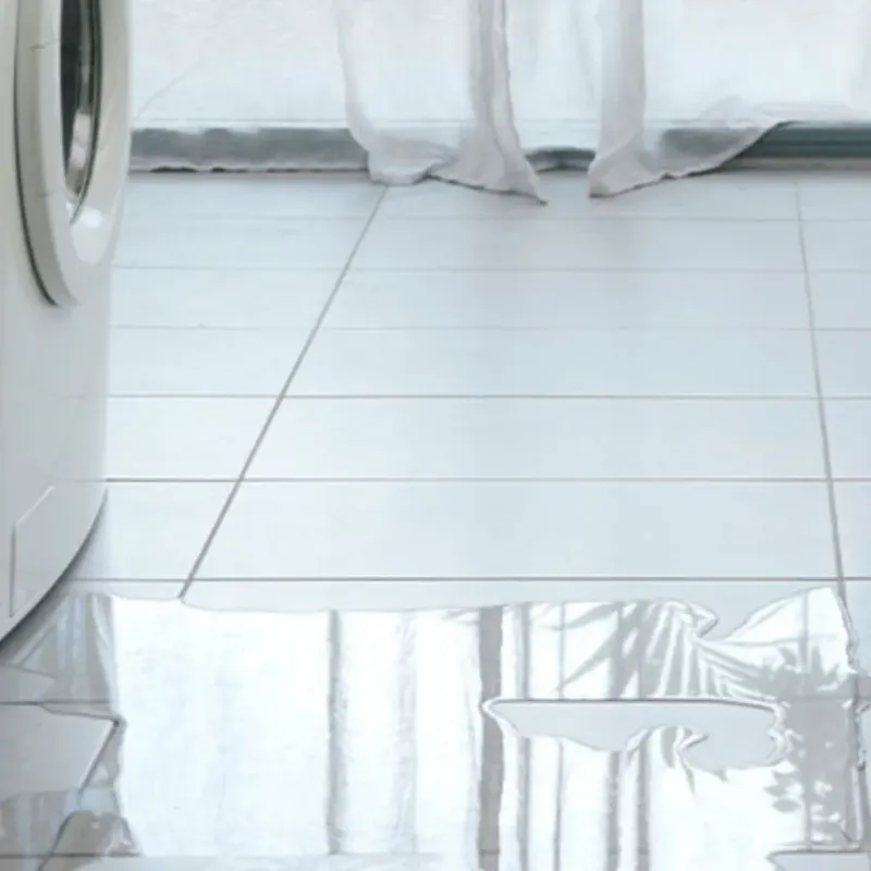 Appliance Leak Cleanup in Eden Isle, LA