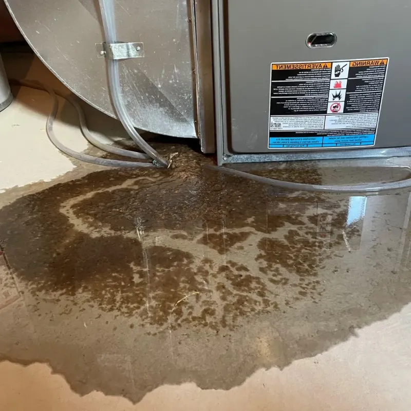 Pipe Burst and Leak Restoration in Eden Isle, LA